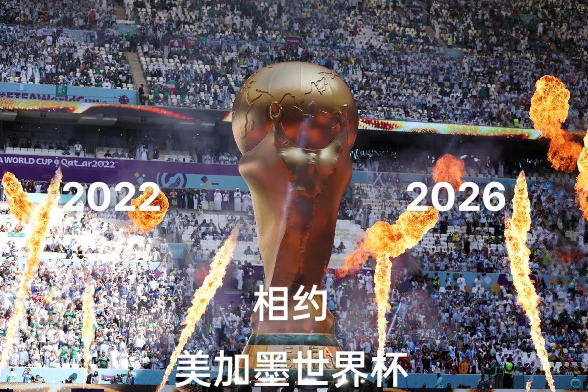 2022世界杯在哪看